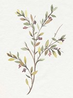 Single Sprig II Fine Art Print