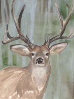 Roaming Buck I Fine Art Print