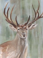 Roaming Buck II Fine Art Print