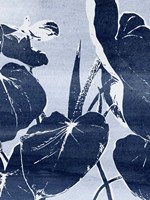 Plant Life III Framed Print