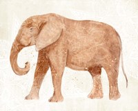 Elephant Wisdom I Framed Print