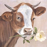 Peony Cow II Framed Print