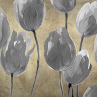 Grey Tulips I Fine Art Print