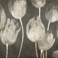 Washed Tulips I Framed Print