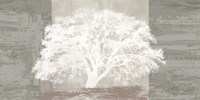 White Tree Panel Fine Art Print