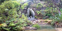 Rainforest waterfall Fine Art Print