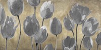 Grey Tulips Fine Art Print
