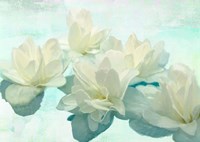 Nympheas Fine Art Print