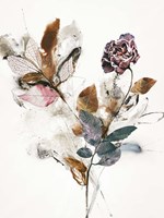 Playing Flower 1 Fine Art Print