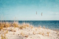 Beach & Gulls Fine Art Print