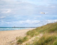 Beach & Jetty Fine Art Print