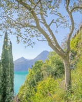 Lago di Como View No. 2 Fine Art Print