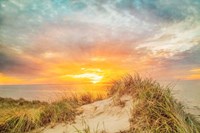 Sunset over The Dunes Fine Art Print