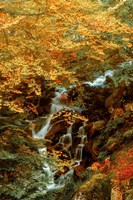 Hidden Waterfall Fine Art Print