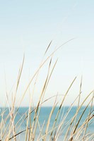 White Oceans 67 Fine Art Print