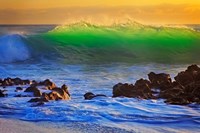 Backlit Fine Art Print