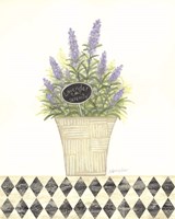 Lavender Serenity Fine Art Print