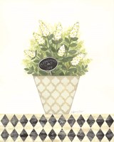 Peppermint Joy Framed Print