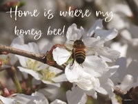 Home is Where My Honey Bee! Fine Art Print