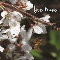Bee Mine Fine Art Print