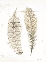 Feather I Framed Print