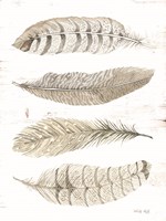 Feather Quad Fine Art Print