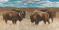 Bison Herd II Fine Art Print