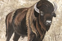 The Boss Fine Art Print