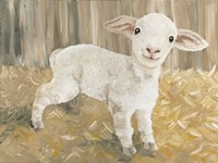 Titus the Tiny Lamb Fine Art Print