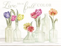 Live Life in Full Color Fine Art Print