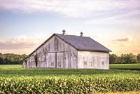 Rural Ohio Barn Fine Art Print