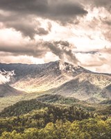 After the Storm Fine Art Print