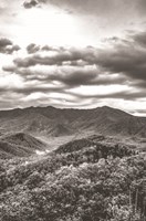 Mountain View Fine Art Print