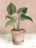 House Prayer Plant Fine Art Print