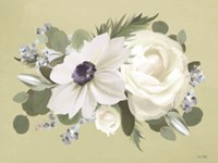 Anemone in Sage I Fine Art Print