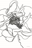 Organic Perfection Fine Art Print