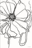 Peace Within the Folds Fine Art Print