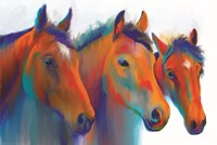 Painted Ponies Fine Art Print