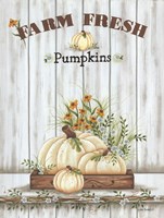 Farm Fresh Pumpkin Fine Art Print