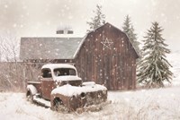 Youth is a Gift Fine Art Print