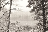 Silence is Beautiful Fine Art Print