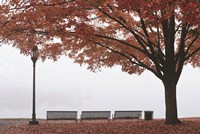 A Place to Dream Fine Art Print