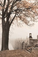 Market Street in Autumn Fine Art Print