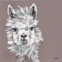 Alpaca Punch Fine Art Print