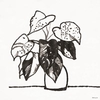 Urn with Plant Fine Art Print