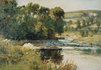 Streamside Fine Art Print