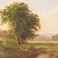 Country Pond 1 Framed Print