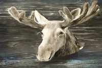 Lake Moose Fine Art Print