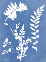 Blue Botanical II Fine Art Print