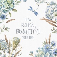 Bohemian Blue 10A Fine Art Print